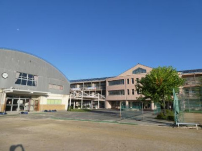 P1000647